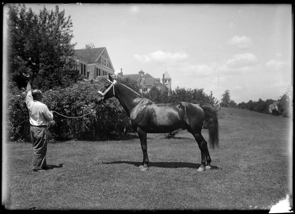Iowa History, history of Iowa, horse, Archives & Special Collections, University of Connecticut Library, Iowa, house, man, Storrs, CT