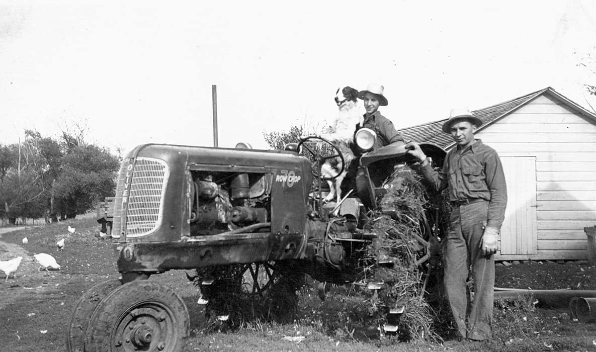 Iowa History, dog, Farms, history of Iowa, Iowa, Farming Equipment, Duncan, IA, Johnson, JB, Animals, tractor