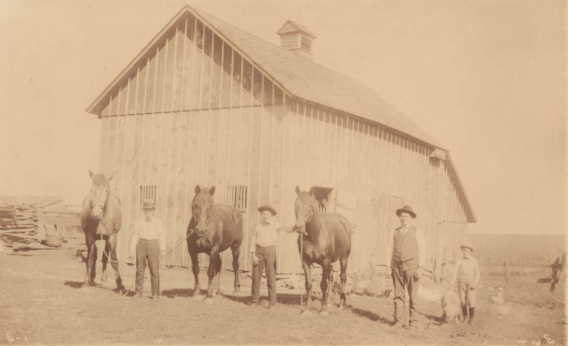 horse, Animals, history of Iowa, Fairfax, IA, Iowa, Iowa History, Cech, Mary, Farms, sheep, Portraits - Group, Barns