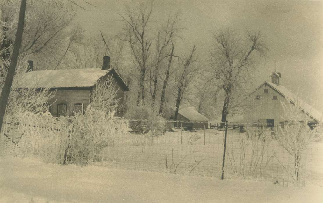 Winter, history of Iowa, Fairfax, IA, Iowa, Iowa History, Cech, Mary, Farms, snow