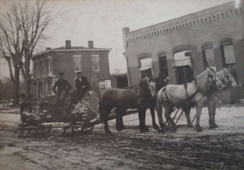 Eddyville, IA, Iowa, horse, sled, Portraits - Group, Iowa History, Lemberger, LeAnn, Cities and Towns, Main Streets & Town Squares, history of Iowa, Animals