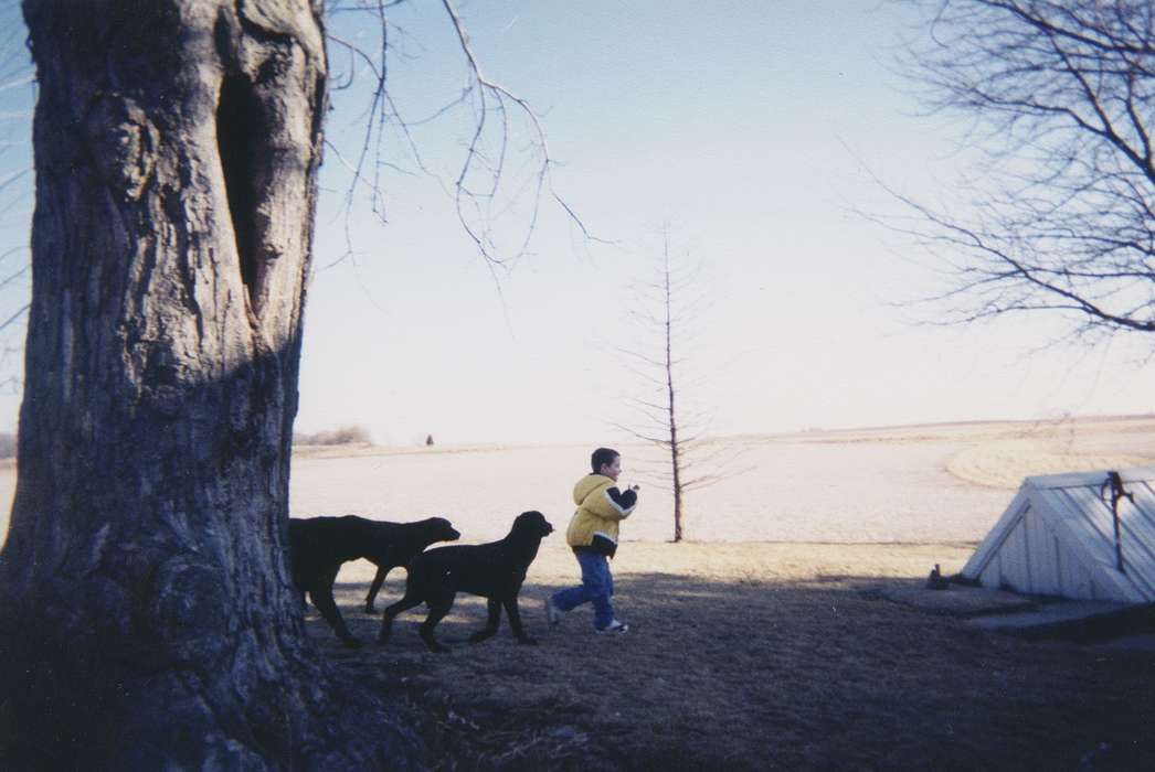 dog, Animals, Children, history of Iowa, Pacha, Pam, Iowa, Iowa History, DeWitt, IA, field, Farms, tree
