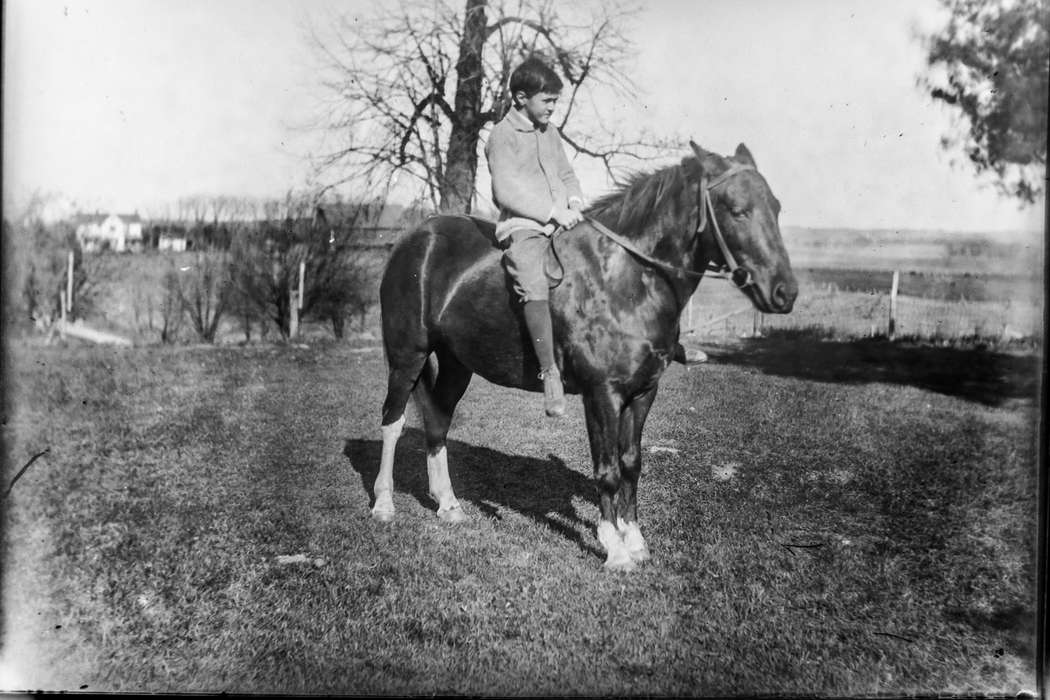 horse, boy, Animals, IA, Children, history of Iowa, Portraits - Individual, Anamosa Library & Learning Center, Iowa, Iowa History, Farms, Outdoor Recreation