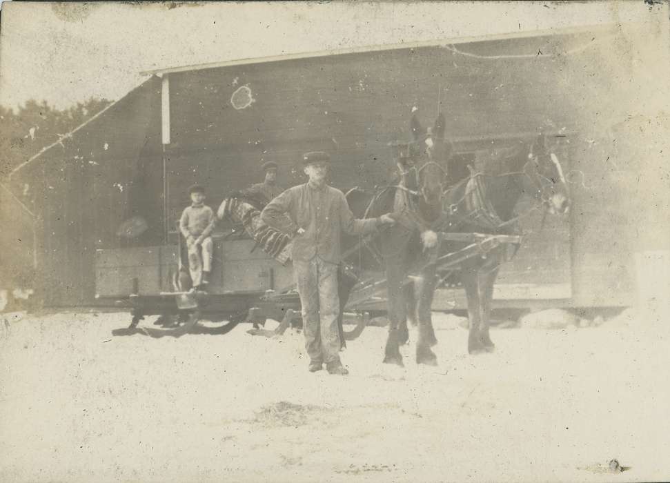 winter, horse, snow, IA, Portraits - Group, Iowa History, Barns, Animals, Iowa, blanket, Neessen, Ben, Children, Outdoor Recreation, sled, history of Iowa