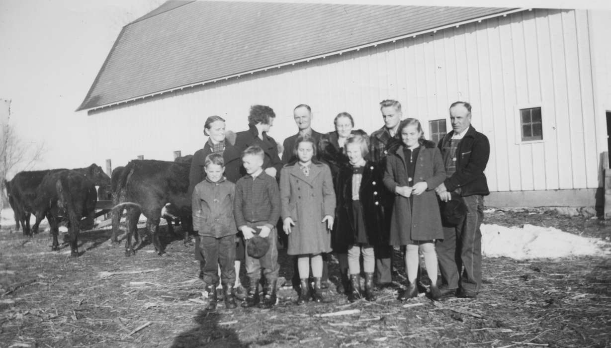 Iowa History, Farms, Mona, IA, Iowa, Portraits - Group, history of Iowa, Families, cow, Horgen, Susan, Barns, Animals