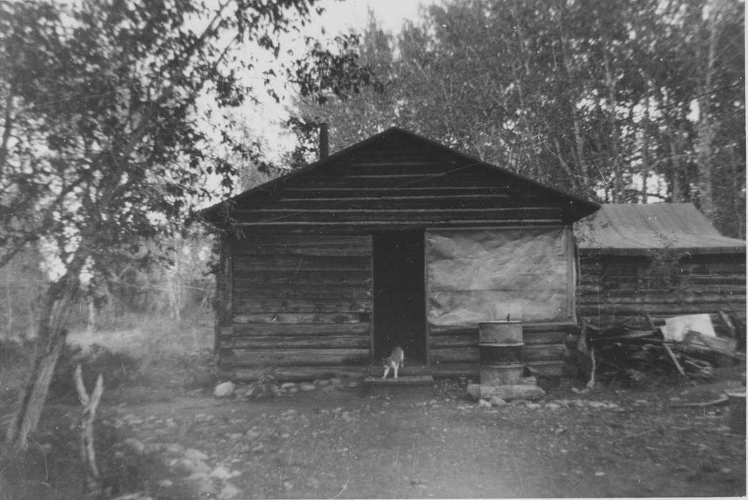 Moose, WY, Travel, Homes, log cabin, cabin, cat, history of Iowa, Ehlers, Monte, Iowa History, Iowa