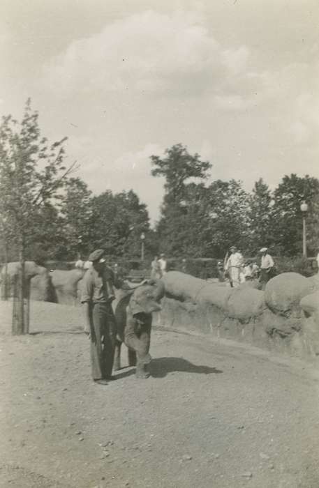 Campopiano Von Klimo, Melinda, zoo, Iowa, St. Louis, MO, Animals, Labor and Occupations, Iowa History, history of Iowa, elephant
