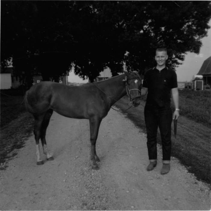 Glidden, IA, horse, Animals, history of Iowa, Heuton, Paul H., Portraits - Individual, Iowa, Iowa History