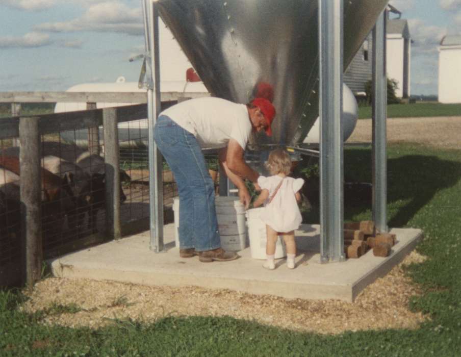 Iowa History, Farms, history of Iowa, Iowa, Farming Equipment, Families, Manchester, IA, baby, pig, Children, Animals, Curtis, Shirley, feeder