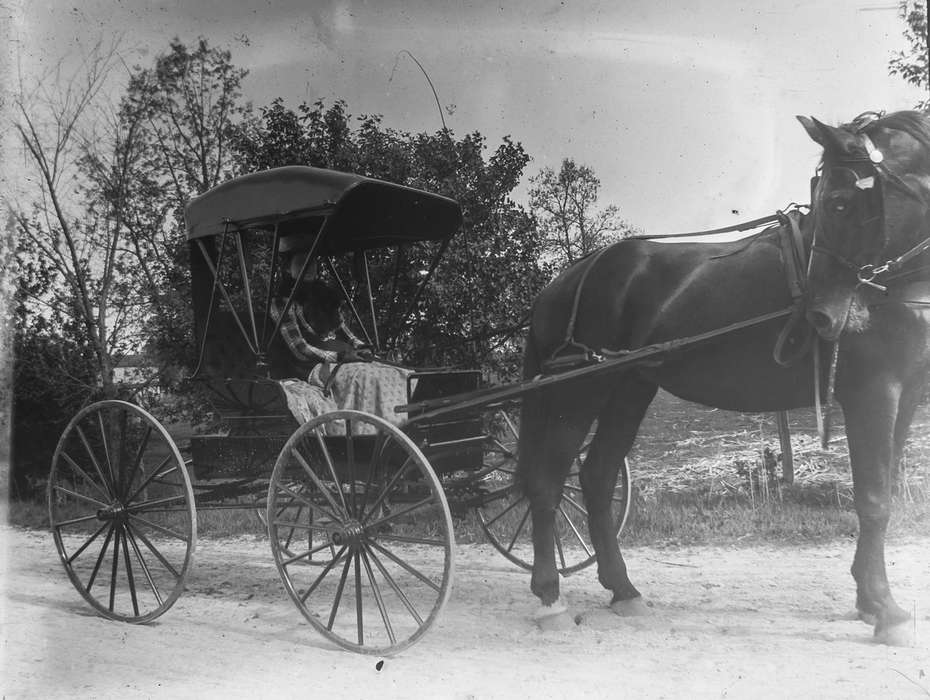 horse, Animals, IA, history of Iowa, Travel, carriage, Anamosa Library & Learning Center, Iowa, Iowa History, horse and buggy