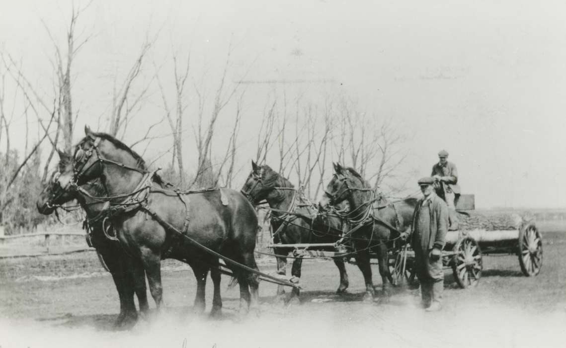horse, Labor and Occupations, Animals, wagon, Brus, Beverly, history of Iowa, Iowa, Iowa History, Waverly, IA