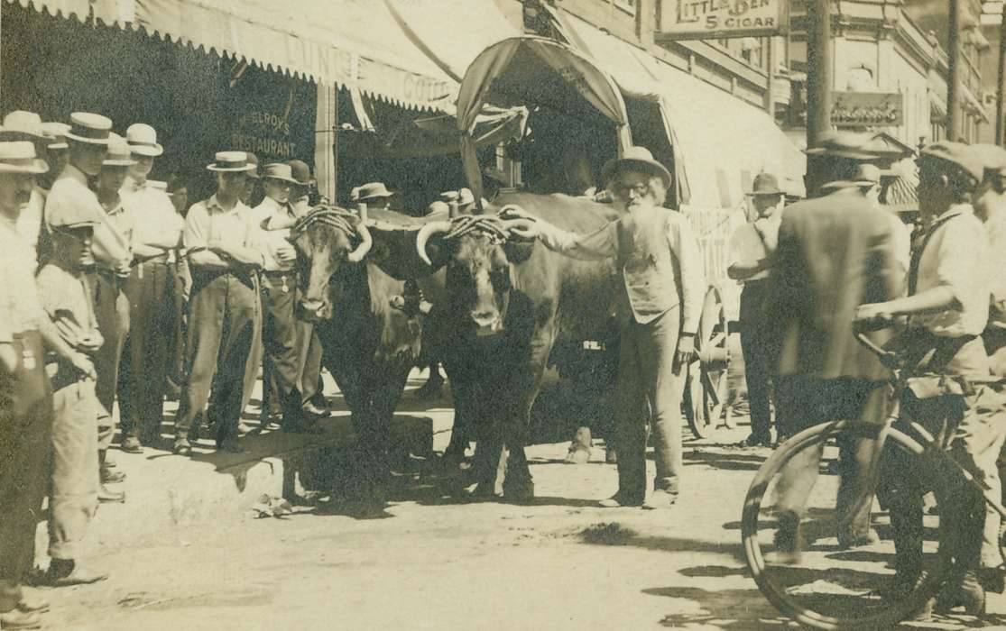 restaurant, Iowa History, Portraits - Group, bicycle, Animals, boater hat, Iowa, Fairs and Festivals, wagon, oxen, Lemberger, LeAnn, Cities and Towns, Ottumwa, IA, history of Iowa, Main Streets & Town Squares