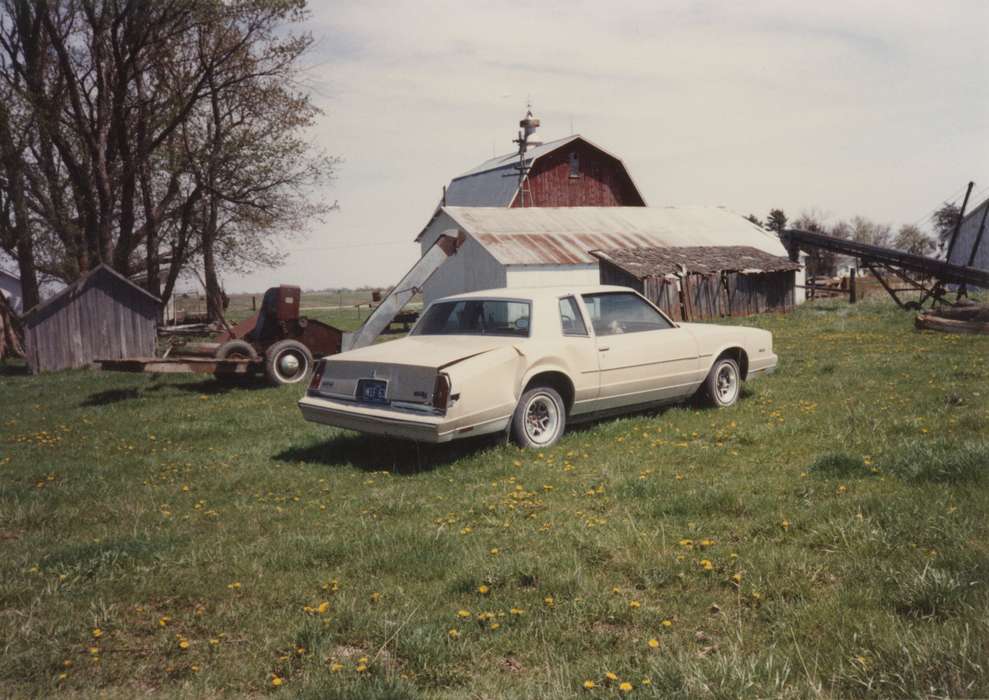 Iowa History, history of Iowa, Iowa, Murray, IA, Farming Equipment, barn, car, oldsmobile, Barns, dandelions, Boylan, Margie, Motorized Vehicles