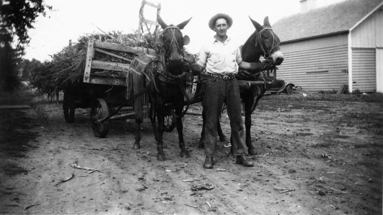bridle, Portraits - Individual, mule, donkey, shed, Walker, Erik, belt, wagon, Iowa History, hat, IA, Farming Equipment, harvesting, Farms, Barns, yoke, Iowa, man, barn, dirt, car, history of Iowa, Animals