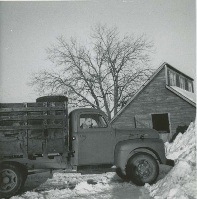 Winter, dog, Hansell, IA, history of Iowa, Malcolm, Cindy, Iowa, Iowa History, truck, Farms, Motorized Vehicles