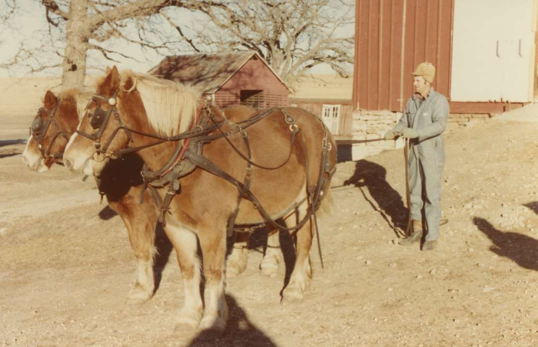 farmer, Albion, IA, Iowa, Barns, Animals, Farms, Farming Equipment, Siebring, Kathy, horses, Iowa History, history of Iowa