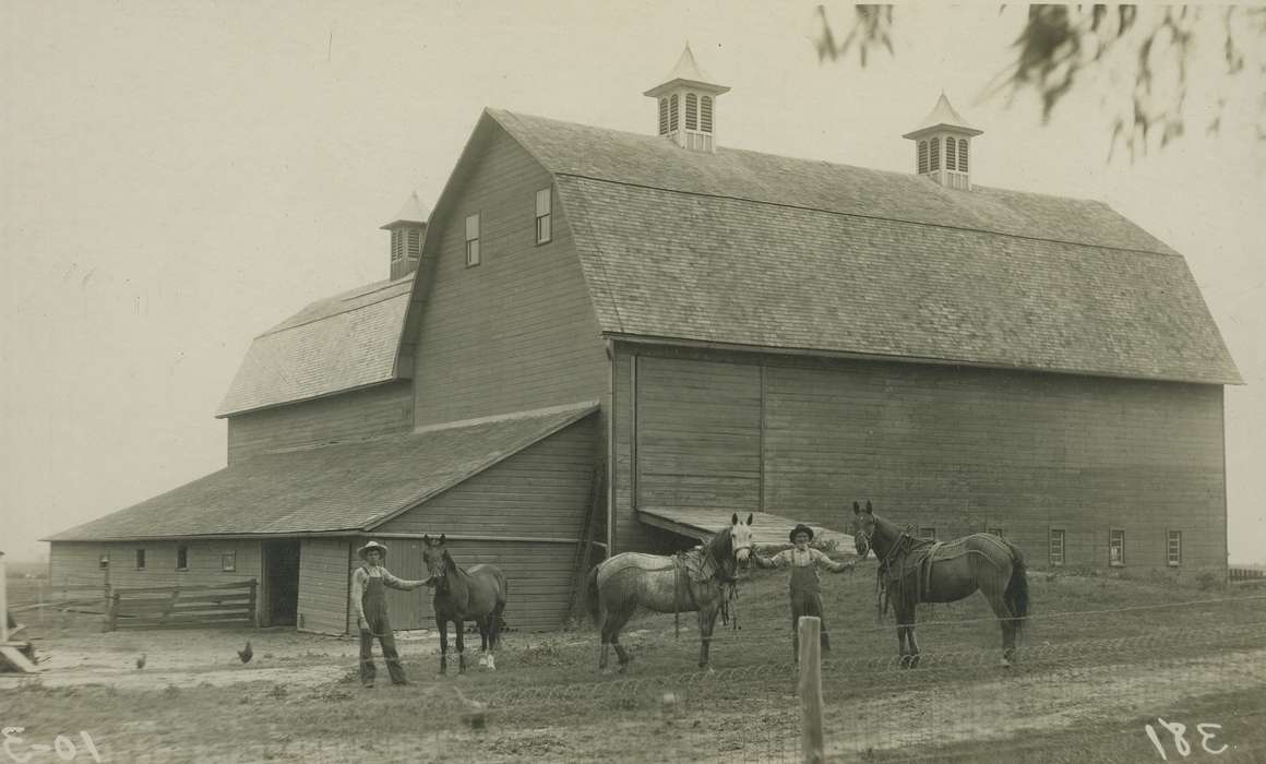 horse, Meyers, Peggy, Animals, history of Iowa, Iowa History, Farms, West Liberty, Iowa, Farming Equipment, Barns, Iowa, farmer, Portraits - Group
