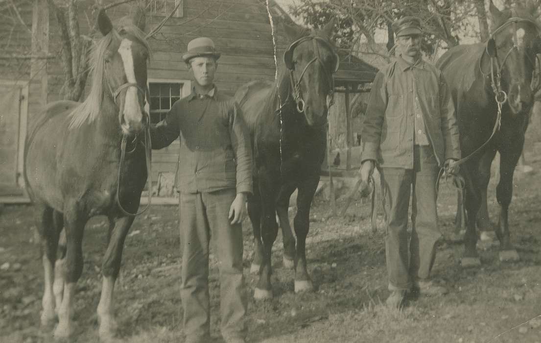 Iowa History, Farms, horse, history of Iowa, Portraits - Group, Iowa, Peru Township, IA, Fredericks, Robert, Animals