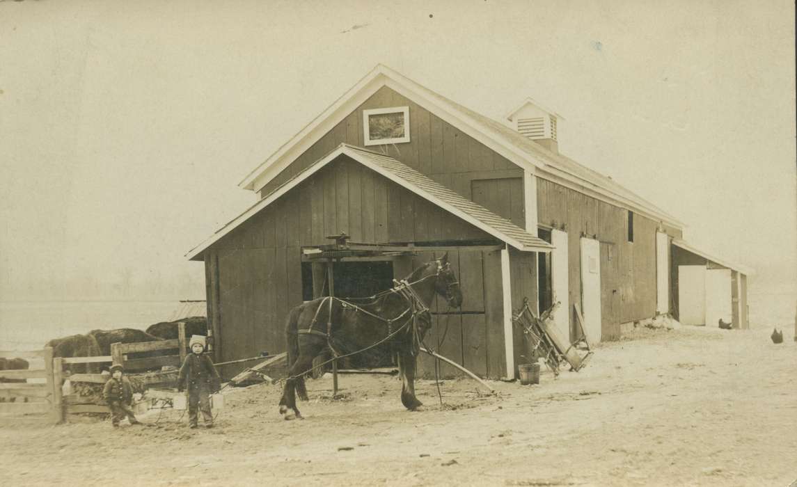 Barns, Iowa, Winter, horse, Children, snowsuit, Iowa History, Plainfield, IA, Marvets, Peggy, cow, history of Iowa, boys, Farms, Animals