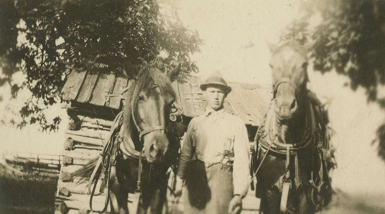 horse, Animals, history of Iowa, Portraits - Individual, Iowa, Iowa History, Farms, Dubuque County, IA, Frederick, Robert
