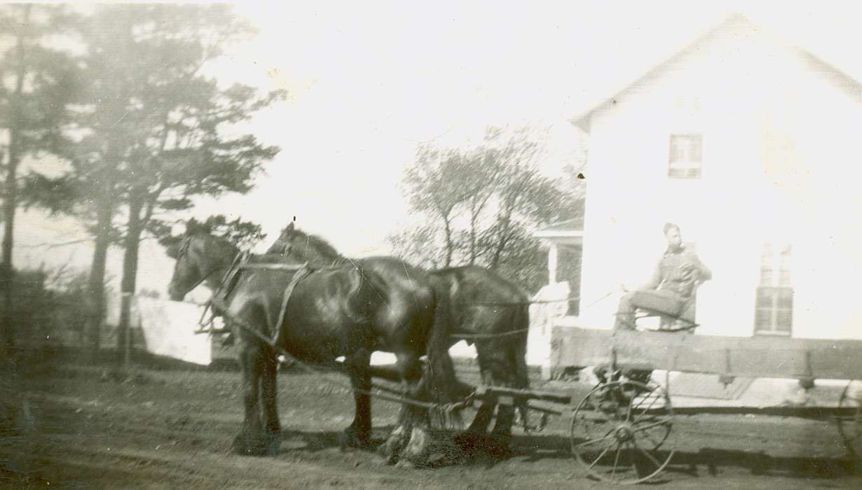 man, Animals, wagon, Farms, Chickasaw County, IA, house, Iowa, Lang, Mavis, Iowa History, history of Iowa, horse