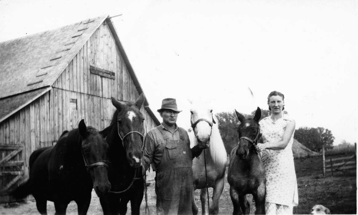 horse, Carroll, IA, history of Iowa, Heuton, Paul H., Iowa, Iowa History, Farms, Portraits - Group, Barns