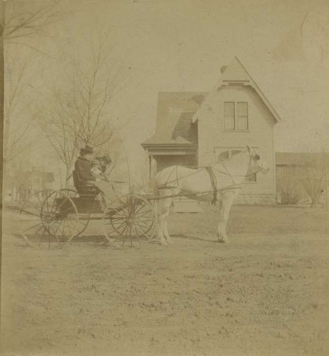 Iowa, horse, Cook, Mavis, Iowa History, horse and buggy, Charles City, IA, house, carriage, history of Iowa, Animals
