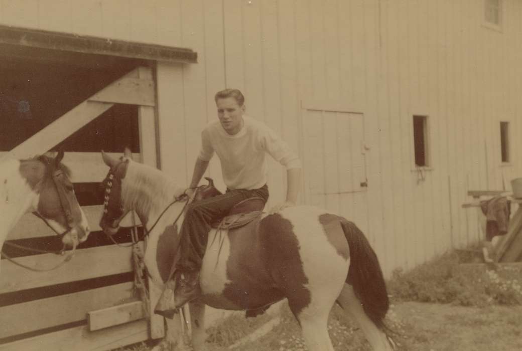 barn, West Union, IA, Farms, Farming Equipment, Iowa, horse, Iowa History, Animals, Portraits - Individual, history of Iowa, Fink-Bowman, Janna