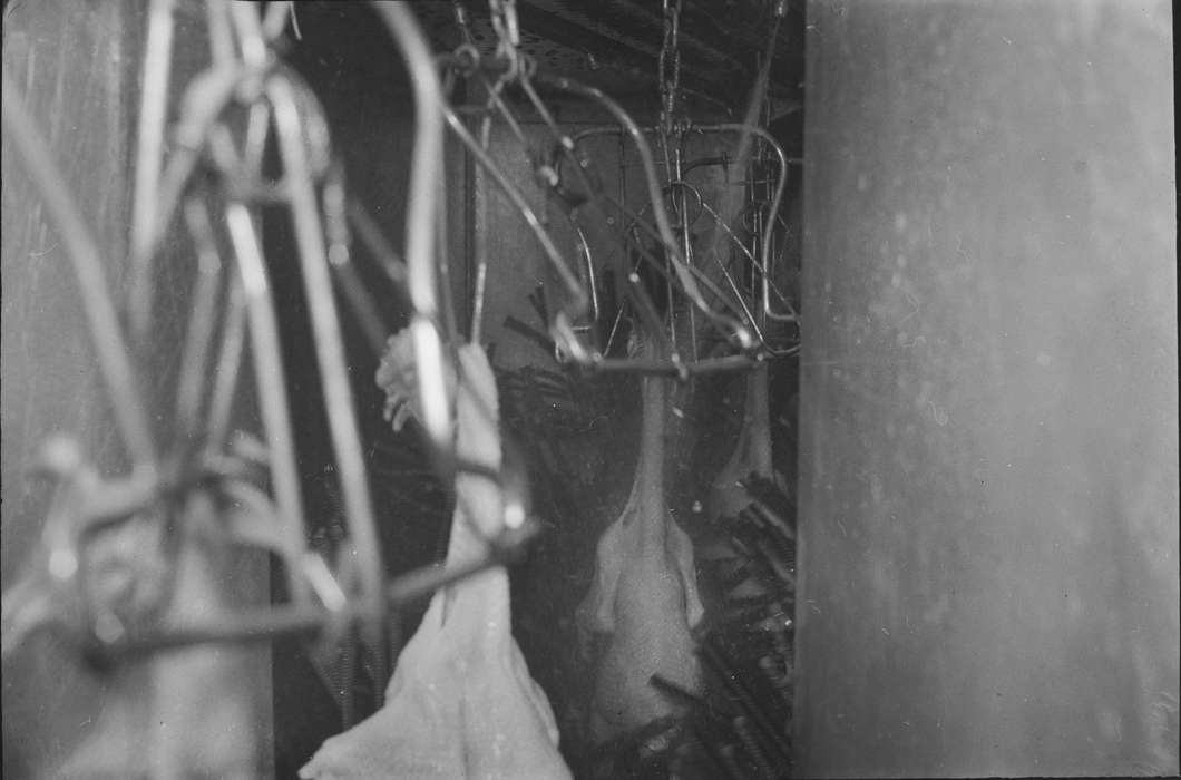 Businesses and Factories, Iowa, IA, United States, Photos, historic, industries--meat processing, Coon Rapids, Coon Rapids Enterprise, chicken processing plant, history, Animals, hooks, meat packing plant, ia, chickens