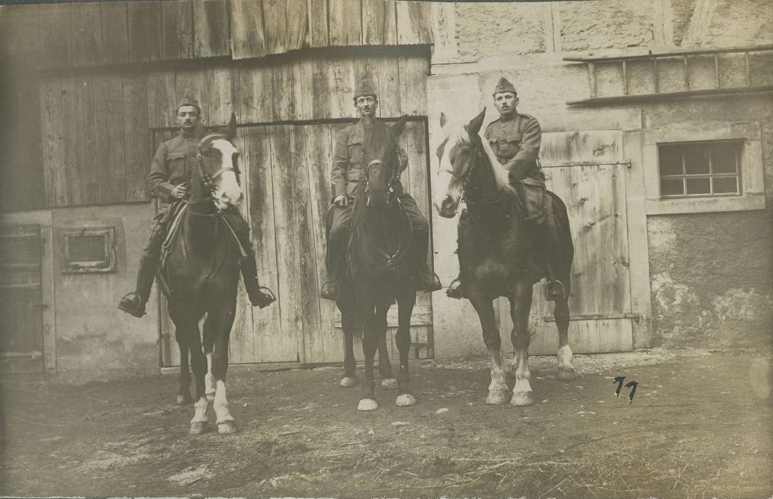 military service, Animals, Fabos, Edith, horse, Military and Veterans