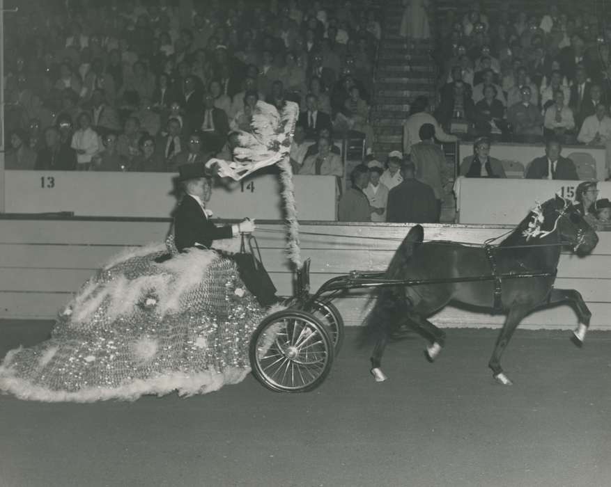 history, Photos, cattle congress, pony, Black Hawk, IA, ia, Animals, Fairs and Festivals, historic, United States, Grout Museum of History and Science, pony and cart, Waterloo, Iowa, national cattle congress