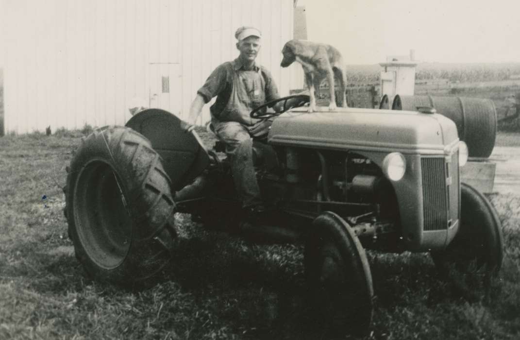 tractor, Iowa History, dog, Animals, Iowa, history of Iowa, Arensdorf, Maureen, Motorized Vehicles, Letts, IA