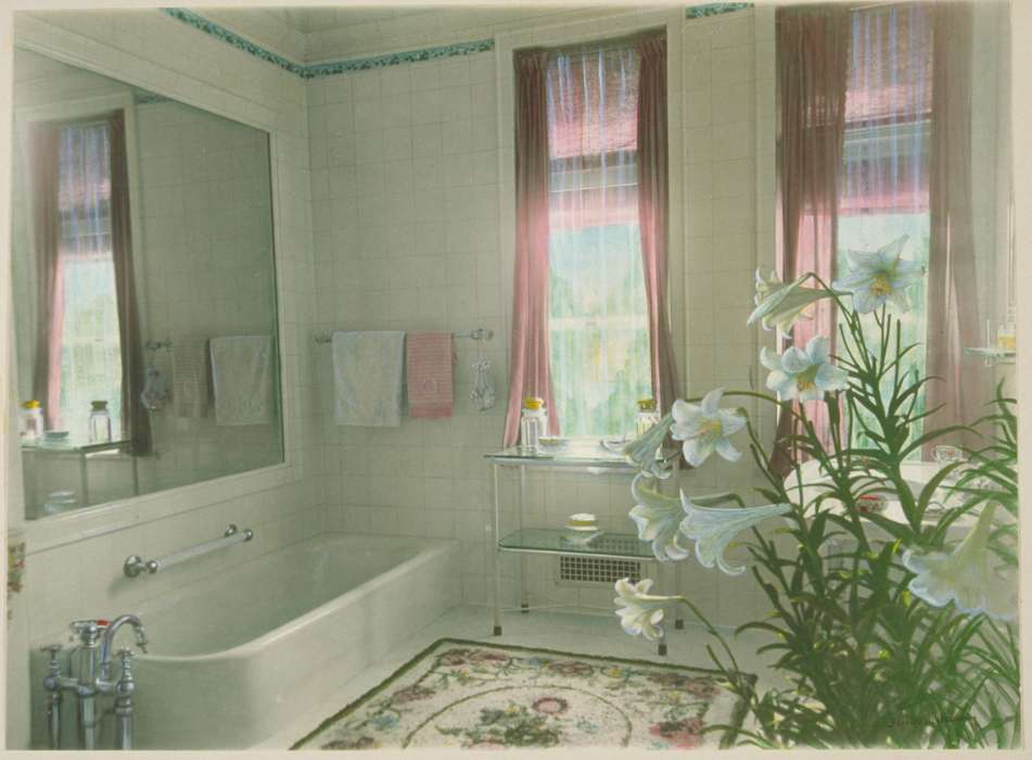 Archives & Special Collections, University of Connecticut Library, history of Iowa, bathtub, bathroom, Iowa History, Iowa, flower, Groton, CT