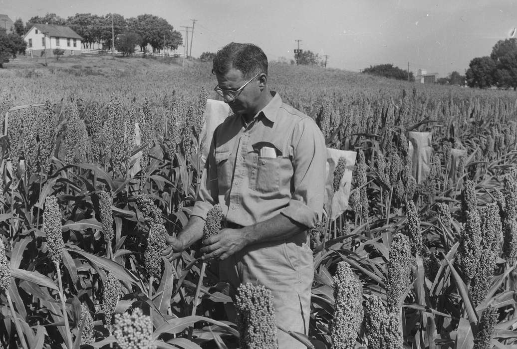 Iowa, IA, United States, Photos, historic, Coon Rapids, Farms, history, field, ia, Coon Rapids Enterprise