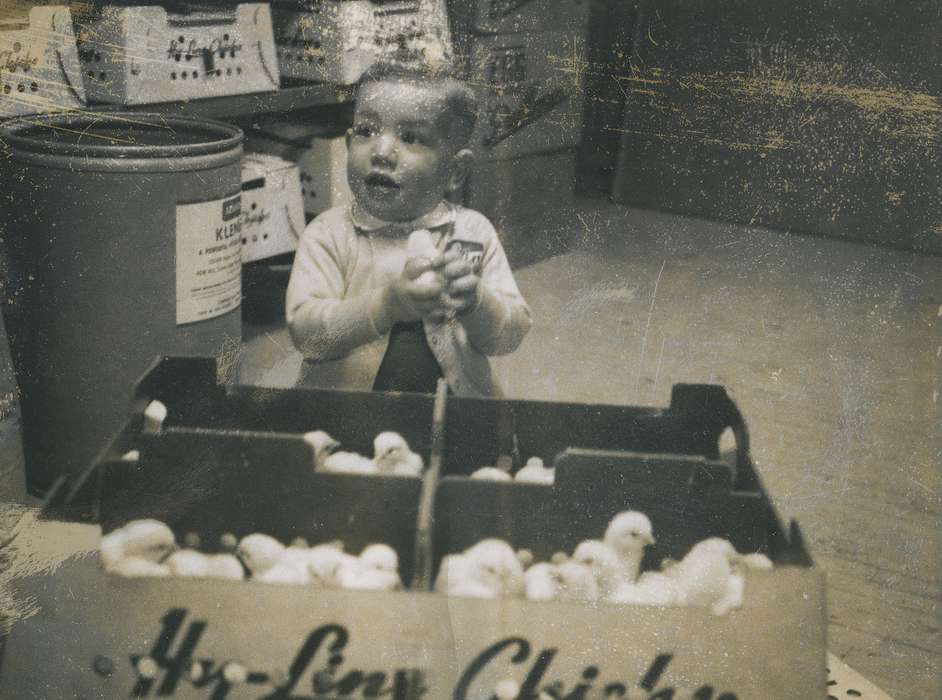 history, historic, ia, Iowa, chick, Coon Rapids Enterprise, Children, Animals, Photos