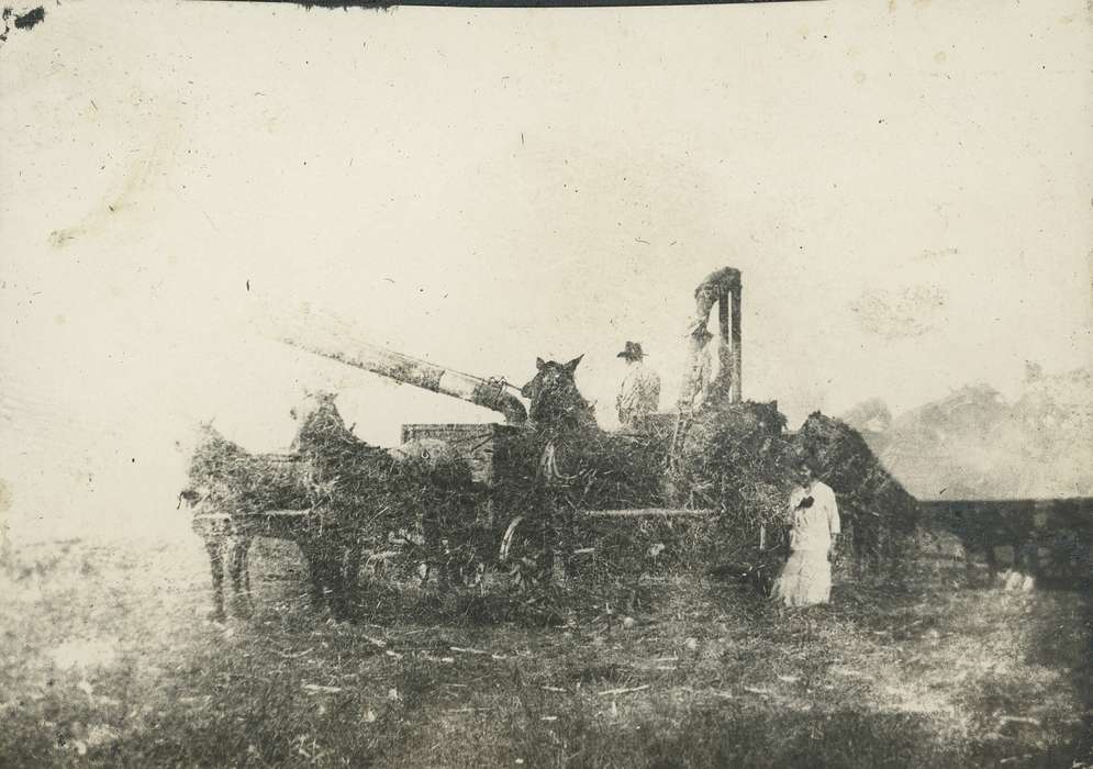 Farming Equipment, field, Iowa History, history of Iowa, Neessen, Ben, Animals, Farms, Iowa, horse, IA