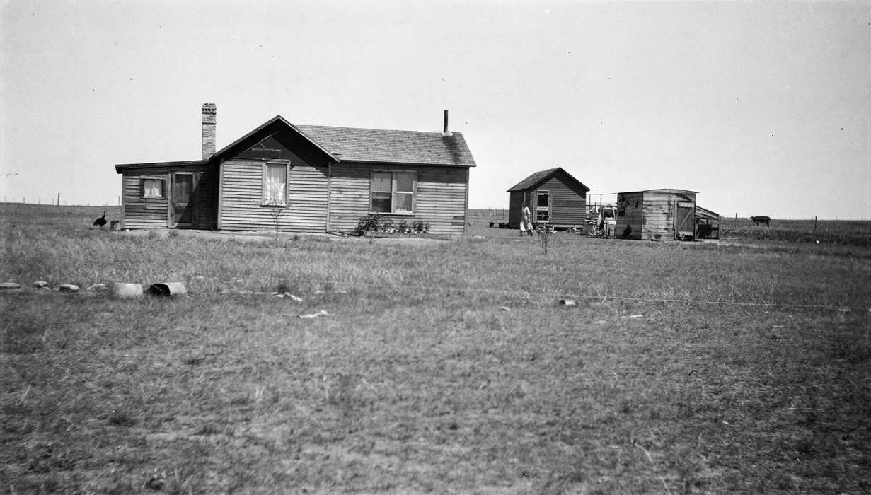Homes, Farms, MT, Iowa History, University of Northern Iowa Museum, history of Iowa, Iowa