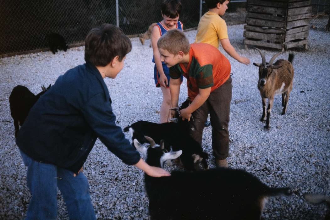 goat, MO, Schools and Education, second grade missouri trip, historic, petting zoo, history, school trip, Children, Iowa, Animals, Coon Rapids Enterprise, Photos, ia, United States, missouri trip