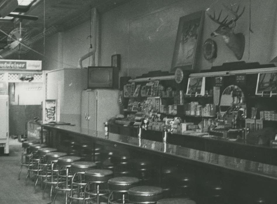 barstool, alcohol, deer, Main Streets & Town Squares, bar, Iowa, Iowa History, tavern, Waverly, IA, Waverly Public Library, television, Food and Meals, Businesses and Factories, beer, history of Iowa