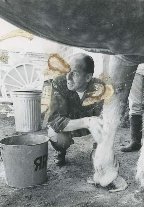 national cattle congress, cow, bald, farmer, milking bucket, Farming Equipment, Grout Museum of History and Science, cattle congress, Iowa, trash can, historic, Black Hawk, Portraits - Individual, boot, bucket, man, Photos, history, hoof, wagon wheel, Waterloo, United States, ia, IA, Farms