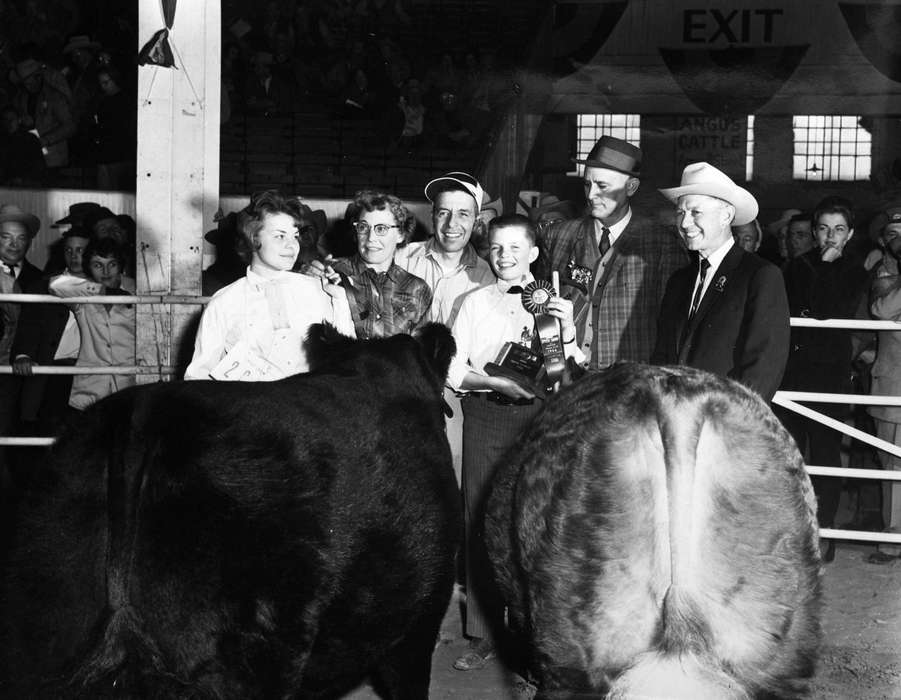 Iowa, bull, Animals, Iowa History, history of Iowa, Des Moines, IA, Fairs and Festivals, Buch, Kaye, prize