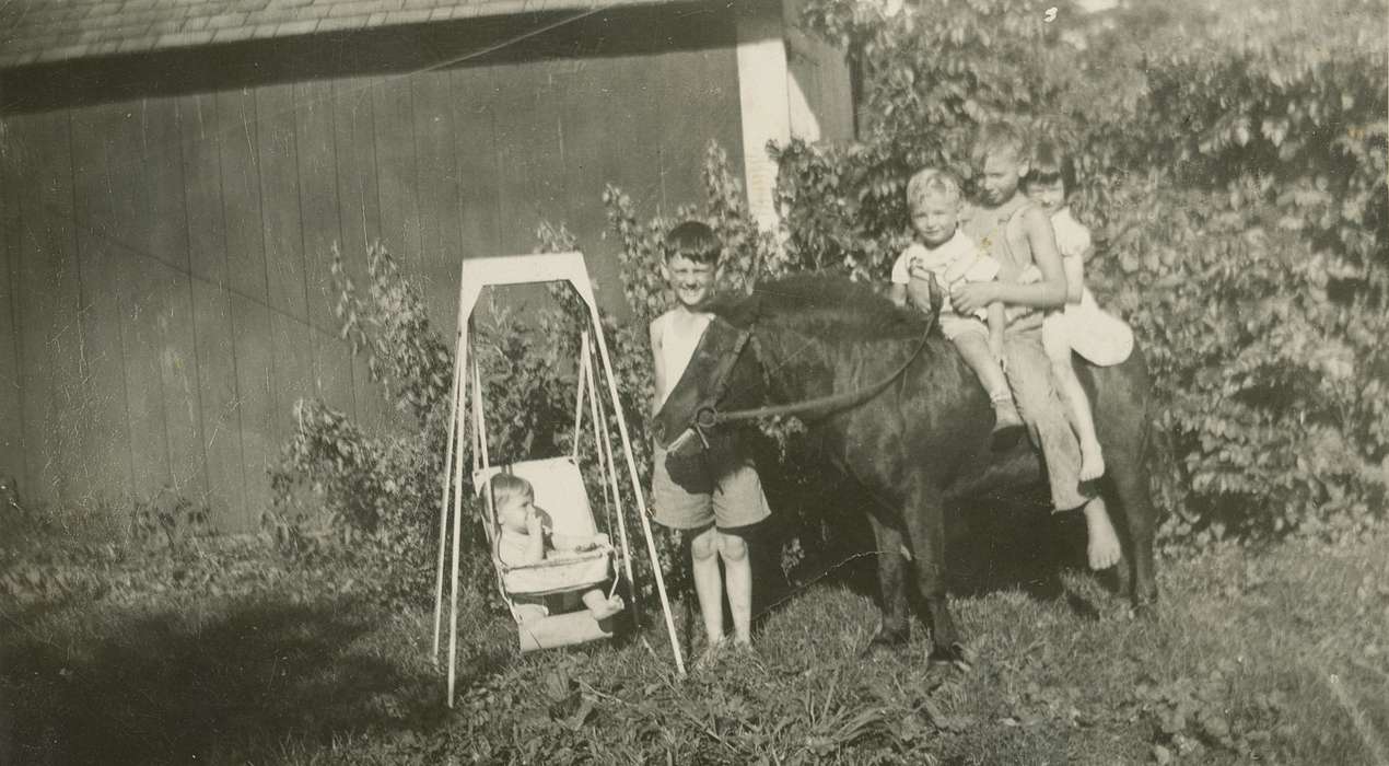 Weber, Karen and Kenny, Iowa, toddler, Portraits - Group, Animals, Keota, IA, Iowa History, history of Iowa, pony, swing, Children