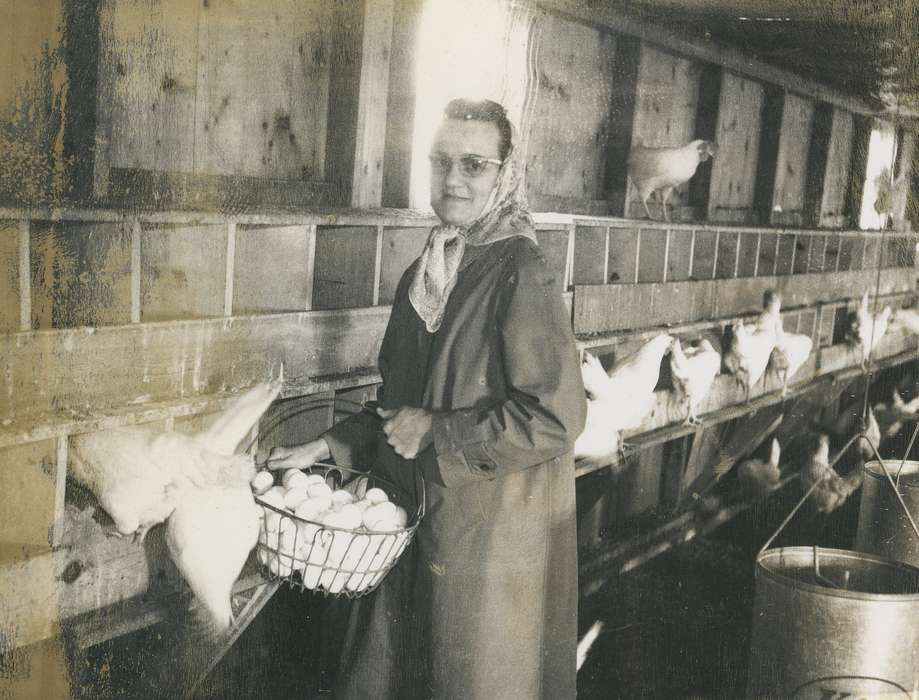 Barns, head scarf, egg, history, basket, historic, Portraits - Individual, ia, Iowa, Coon Rapids Enterprise, Photos, Animals, chicken, coat