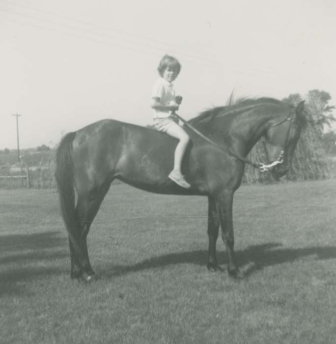 Marks, Wanda, riding, grass, Animals, history of Iowa, Portraits - Individual, Iowa, Iowa History, IA, horse, harness, feild, trotting