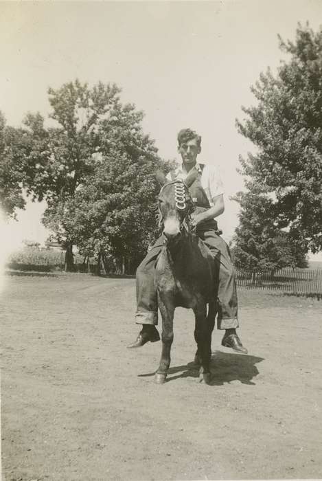 Animals, Hansen, Viola, Iowa History, Iowa, Leisure, history of Iowa, IA, horse