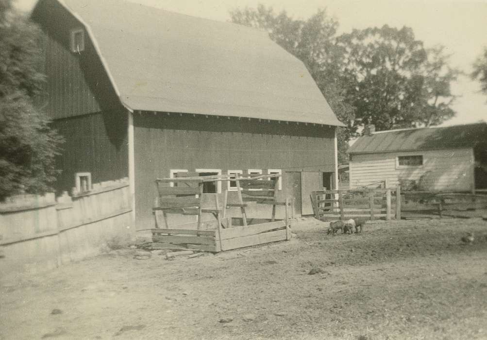 Iowa, Marks, Wanda, Animals, Plainfield, IA, Iowa History, history of Iowa, Farms, Barns