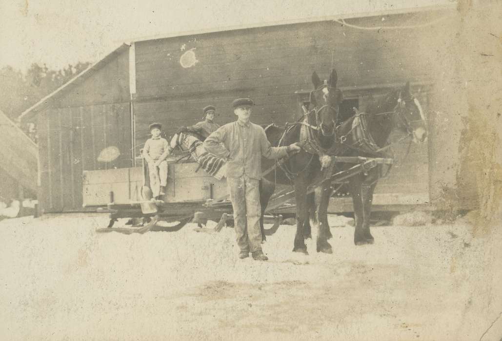 horse, history of Iowa, snow, hat, Neessen, Ben, sleigh, Children, IA, Iowa, Iowa History, Families, Barns, Animals
