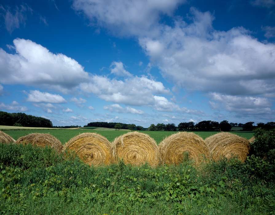 clouds, Iowa History, Iowa, Farms, history of Iowa, Landscapes, hay field, hay bale, Highsmith, Carol