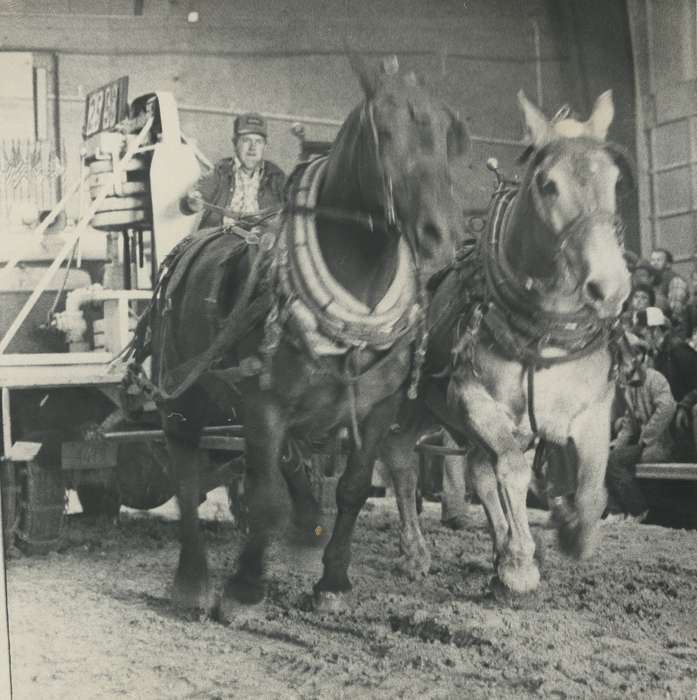 auction, Waverly Public Library, horses, Iowa History, horse drawn wagon, Waverly, IA, horse show, Labor and Occupations, Iowa, history of Iowa
