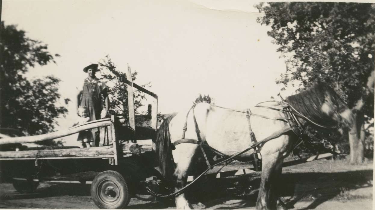 horse, wagon, history of Iowa, Farms, Eddyville, IA, Iowa, Labor and Occupations, Iowa History, Smith, Diane, Animals